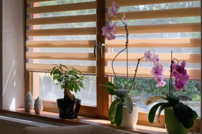 Plantation Blinds Installation in Longmont, CO