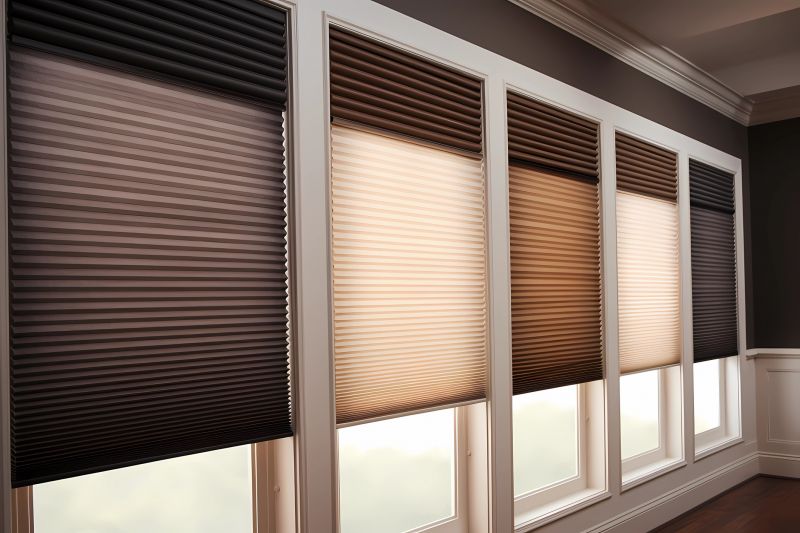 Pleated Shades Installation in Littleton, CO