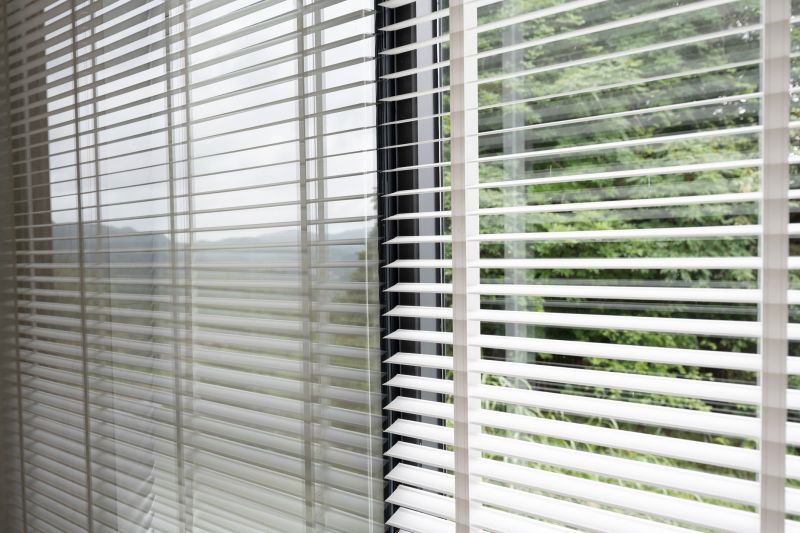 Window Blinds Cleaning in Billings, MT